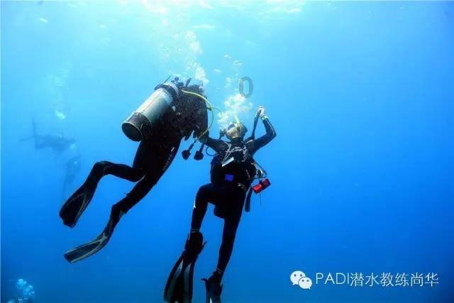 美媒：美国在红海对胡塞武装采取行动出于意识形态原因